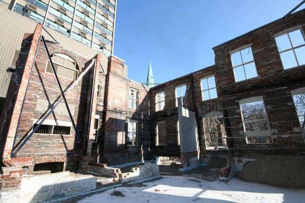 After two fires, a heritage rose rises from the ashes on Jarvis Street